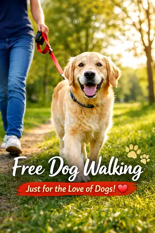 Free Dog Walking – Just for the Love of Dogs