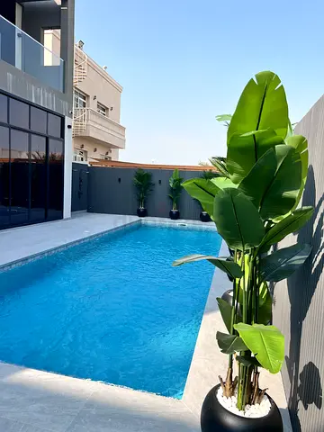 Swimming Pool Professional Cleaning Services