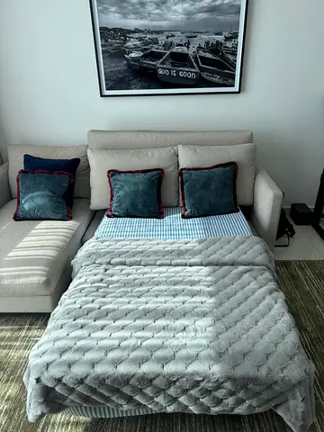 Premium Sofa bed for sale (Uk Camrich)