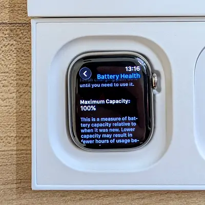 Apple watch 10//natural titanium lte//42mm//battery 100