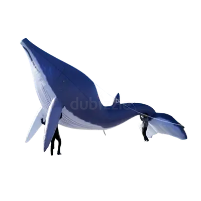 Large Inflatable Blue Whale Kite - Outdoor Toy/Decor