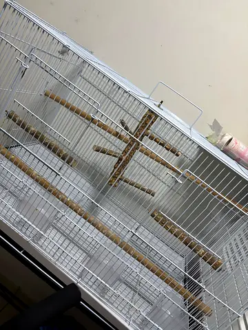 Bird cage available