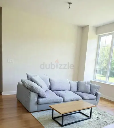 Marina home Luscious Original Sofa Gray Excellent Condition