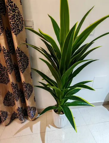 Artificial plant
