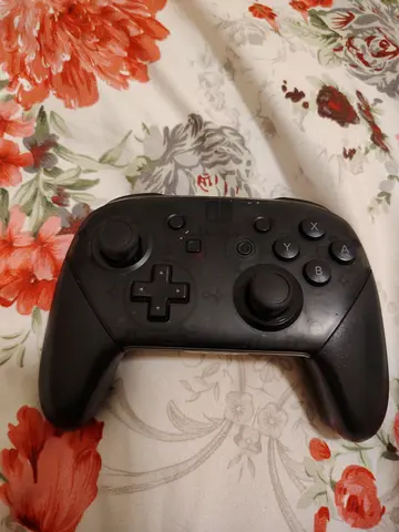 Control nintendo switch