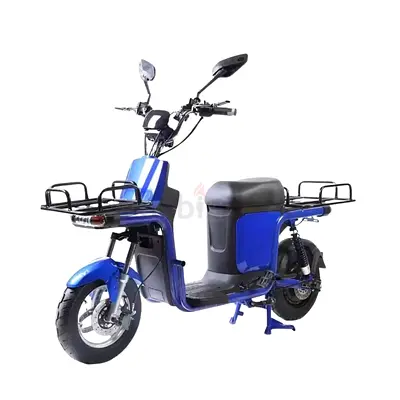 Wind Horse M4 Delivery E-Bike 60 v Grocery Scooter for Heavy Loads with Warranty