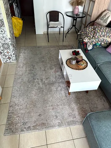 Light grey area rug — gently used
