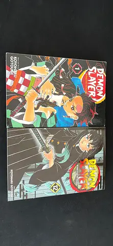 Demon Slayer Manga Volume 1 and 12