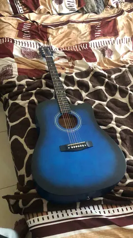 Acoustic Siltron Guitar