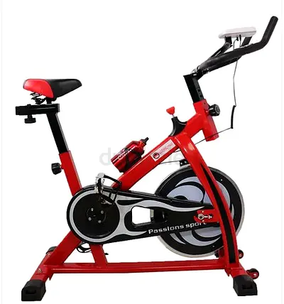 Whole Body Cardio Master Spin Bike Exercise Bike -