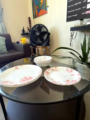 CORELLE plate set-4+2 plates3 bowls