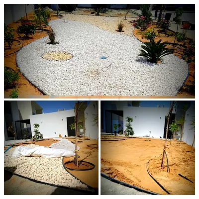 مهندس زراعي 🌿 متخصص تنسيق وصيانة الحدائق في الإمارات 🇦🇪