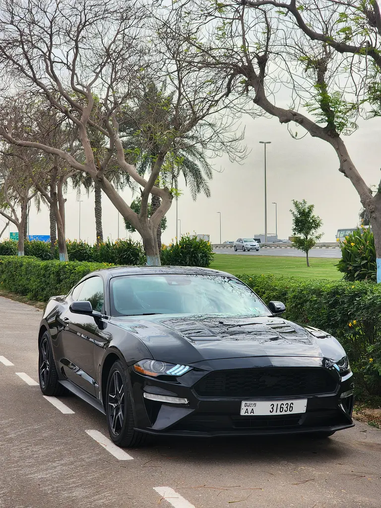 Ford Mustang 2022 — photo 1 of 4