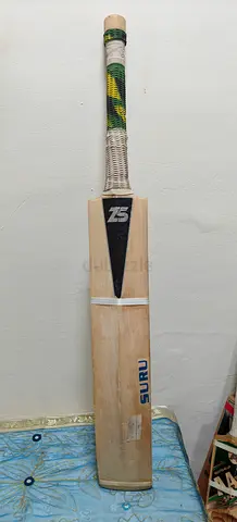 SG cricket bat - player edition