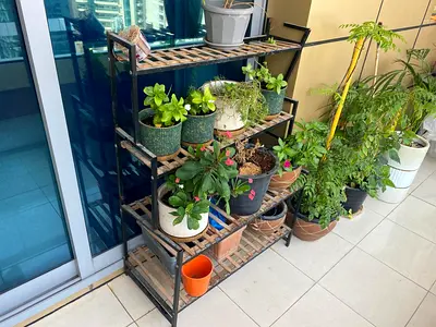 Plant stand