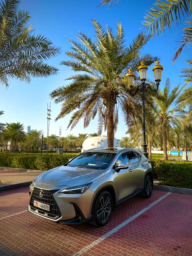 Lexus NX-Series 2022 — photo 1 of 19