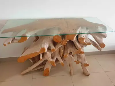 Indonesian Teak Root console table