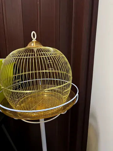 Bird cage with stand