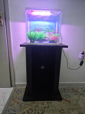 Fish Aquarium with table