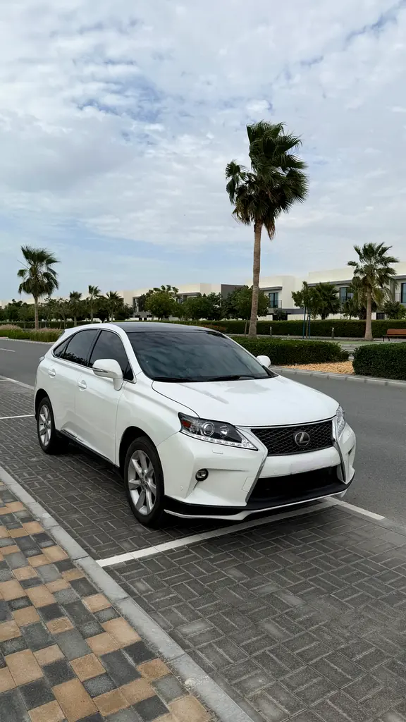 Lexus RX-Series 2009 — photo 1 of 4