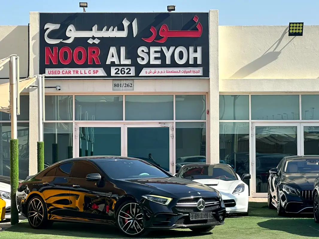 Mercedes-Benz CLS-Class 2019 — photo 1 of 9