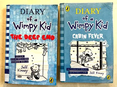 Diary of a Wimpy Kid — The Deep End  Cabin Fever (2-book set)