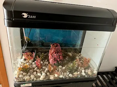 Fish tank for sale