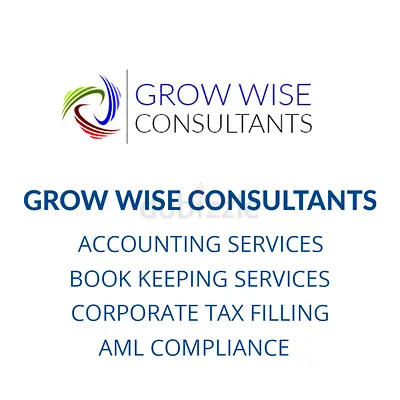 Tax Consultancy Services
