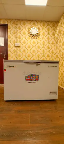 Westpoint Chest Freezer 282L WBXN-3519.EWGL
