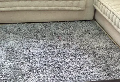 Carpet- light shaded rug trpe carpet