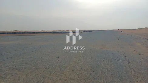فرصة استثمارية مميزة في البليدة 3 – الشارقة | بسعر لا يتكرر وموقع استراتيجي