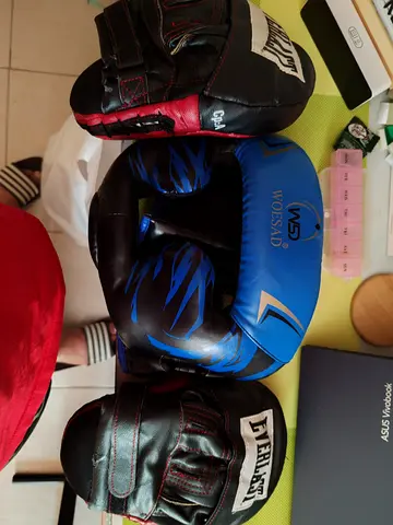 Everlast boxing gloves with focus mitts (used)