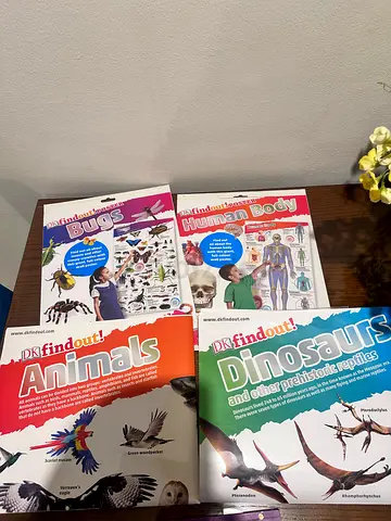 DK Findout! Human body, Animals, Dinosaurs and Bugs — Kids posters( Set of 4)