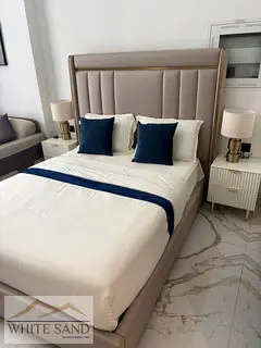 BRAND NEW FULLY FURNISHED I MULTIPLE CHEQUES I READY TO MOVE