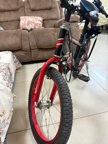 Kids Mountain Bike for Sale
