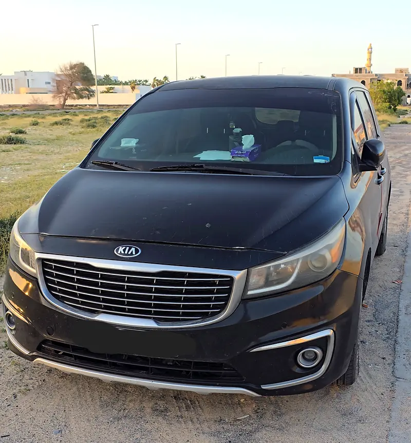 Kia Sedona 2018 — photo 1 of 10