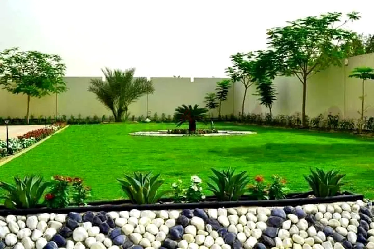 DPV_View_Image_2