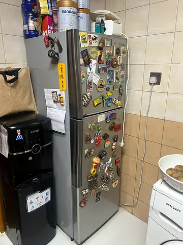 My silver top-freezer refrigerator - working condition