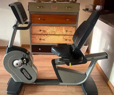 URGENT SALE - Techogym Recumbent Bike