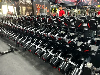 Set of Adjustable Dumbbells for Sale