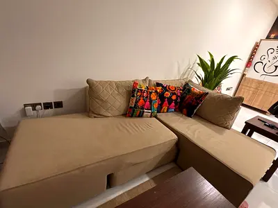 Danube Home Sofa Cum Bed