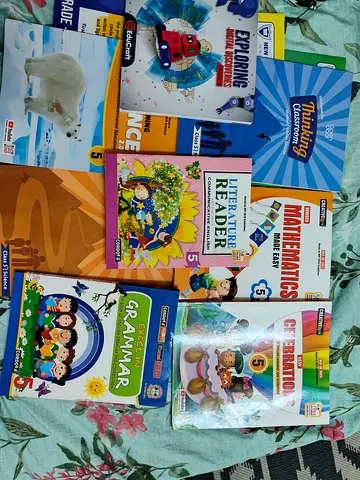 Collection of Grade 5 English, Maths and Activity School Textbooks (used) NIMS