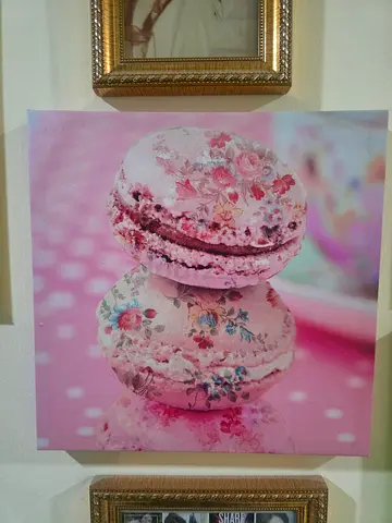 2 Pink Macaron Floral Canvas Wall Art