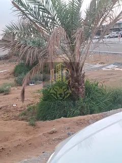 Prime Land for Sale in Al Helio 1 – Including Registration &amp; Ownership Fees