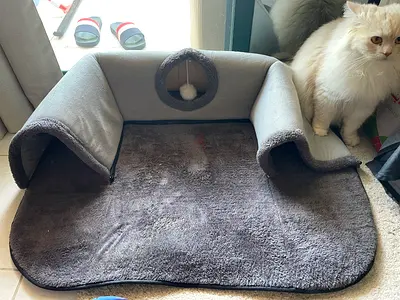 Cat’s tunnel for sale