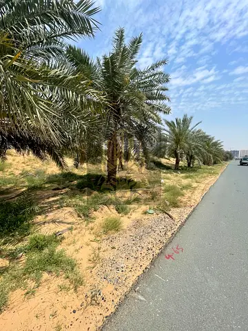 أرض زاوية تجارية وسكنية للبيع – العالية، عجمان