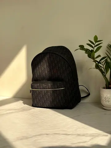 Dior backpack
