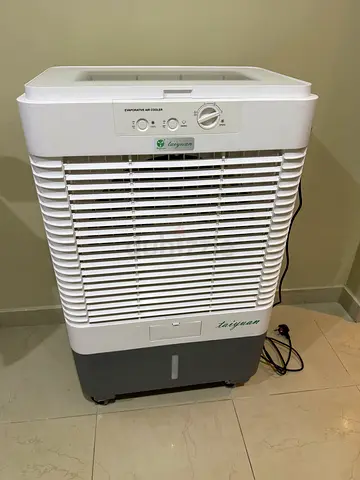 Air cooler