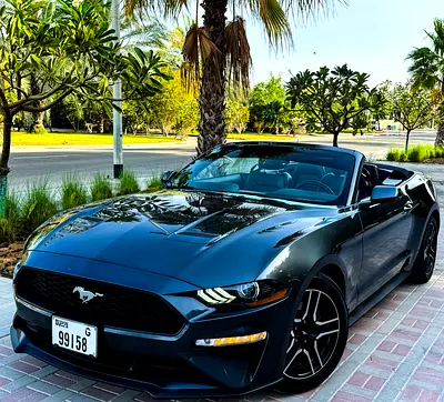 First Owner ORIGINAL AIRBAGS FLOOD FREE!Pristine Condition New  Well Maintained Rare to find