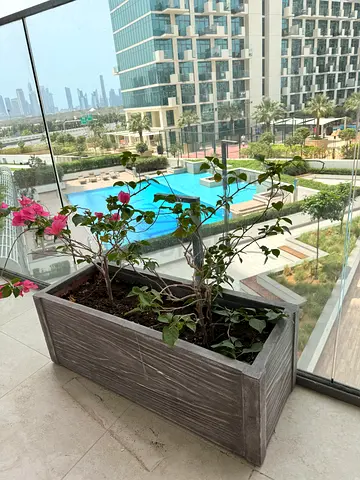 Stylish Outdoor Planter with Bougainvillea